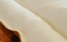 キャメルの布団